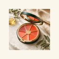 Lipgloss - Wheel - (6) - Orangelicious